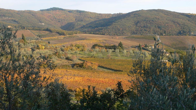 Villa Le Barone, Panzano, Italy