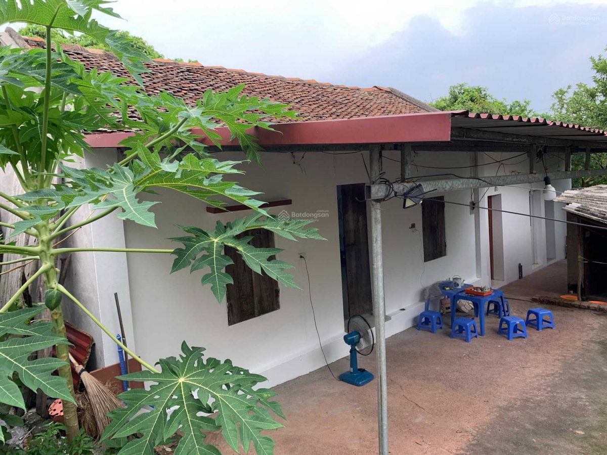 House in Bac Giang, Vietnam