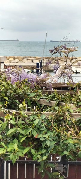 Maison De Revel, Civitavecchia, Italy