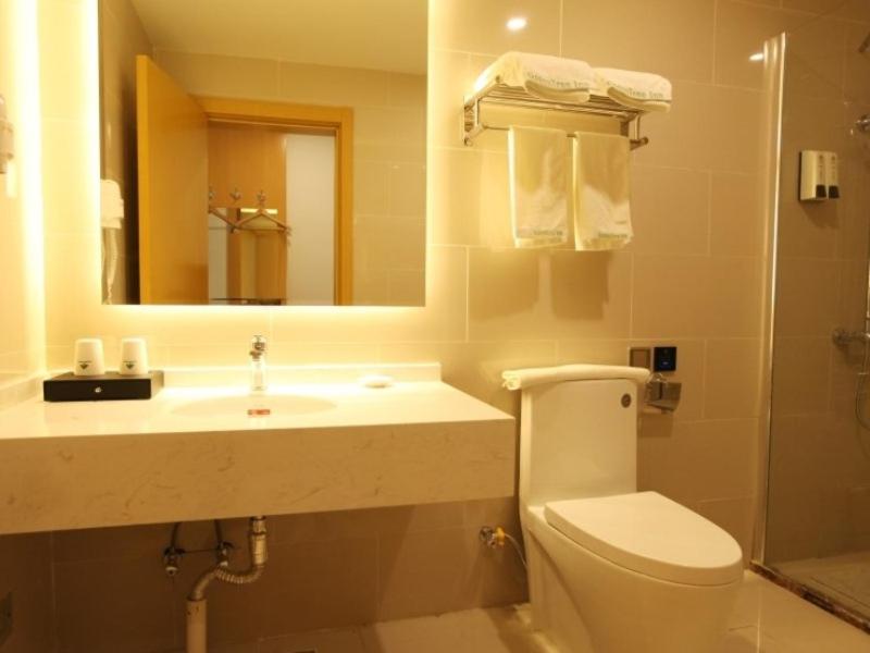 GreenTree Inn Tianjin Hedong District Tianjin Station Front Square Express Hotel, Tianjin, 中国