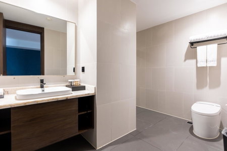 Dijing Hotel Shanghai, Shanghai, 中国