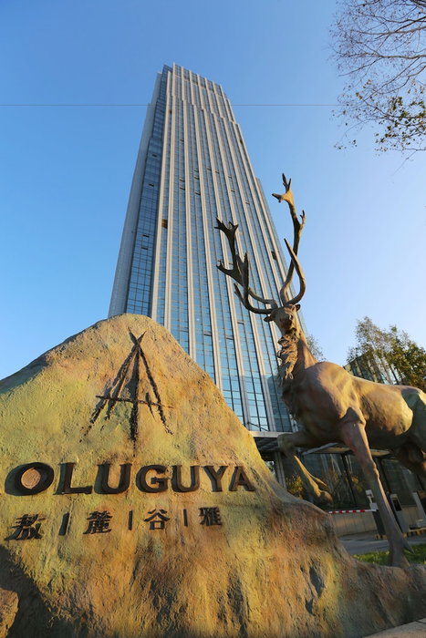 Aoluguya, Harbin, 中国