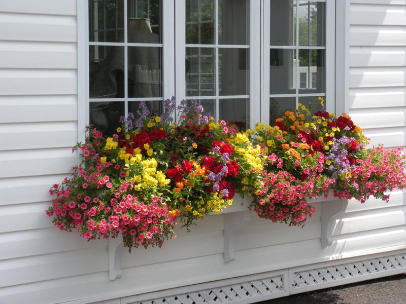 Côté's Bed & Breakfast, Grand Falls, Canada