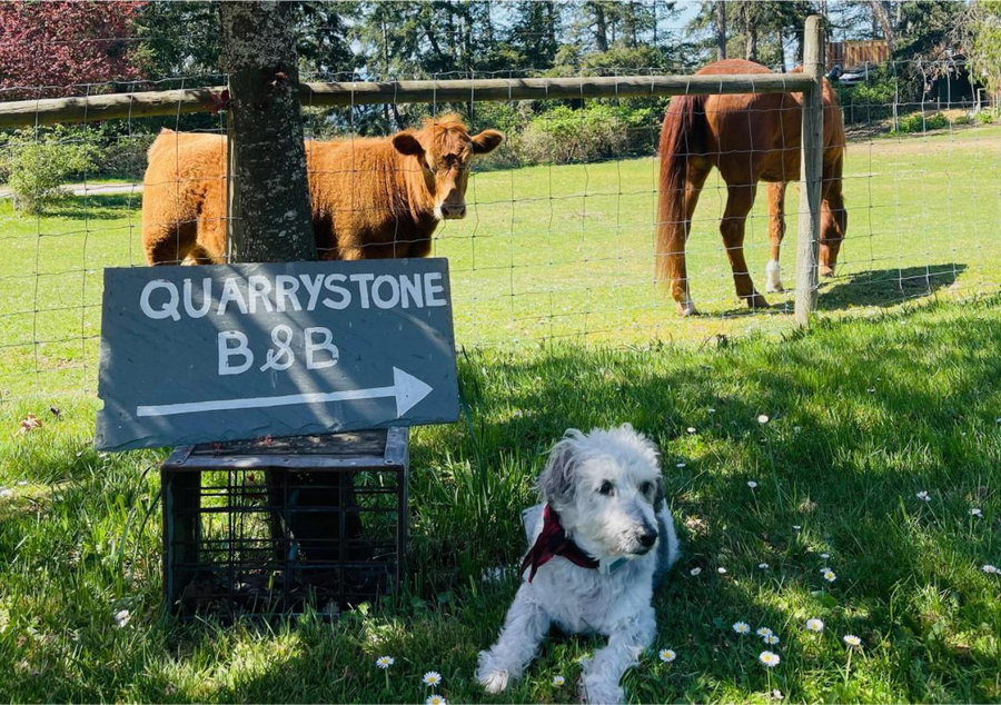 Quarrystone House B&B, Fernwood, Канада