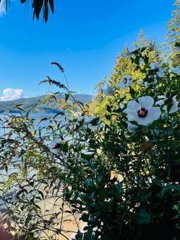 The Tuwanek Bed and Breakfast, Sechelt, Canada