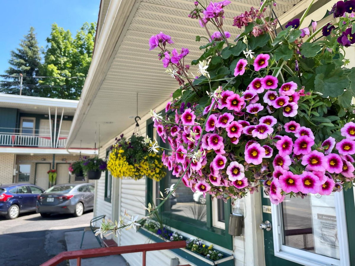 Hotel · Motel Saint-Hilaire, Mont-Saint-Hilaire