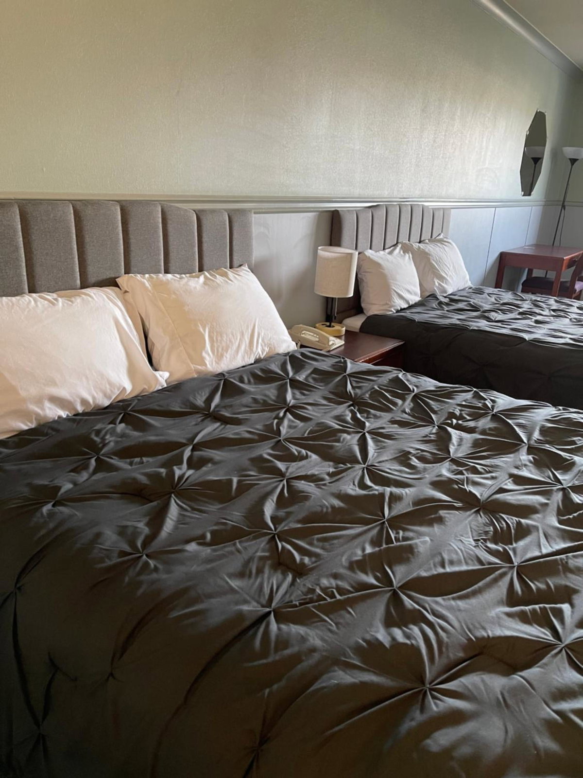Elite Hotel -Downtown Center- 24 hours "Ski & Northern light Tour" "Hot Spring Tour "Long-term stay", Kanada