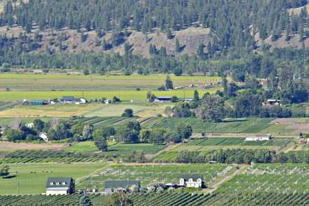Crowsnest Vineyards Guesthouse, Keremeos, Canada