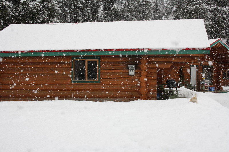 Twin Peaks Hotel Cabins, Valemount, Canada