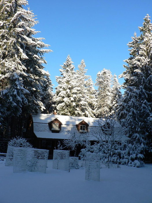 Cedar Song B&B, Parksville, Канада