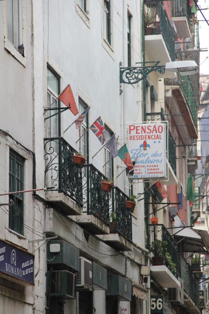 Hotel · Pensao Residencial Flor dos Cavaleiros, Lisbon