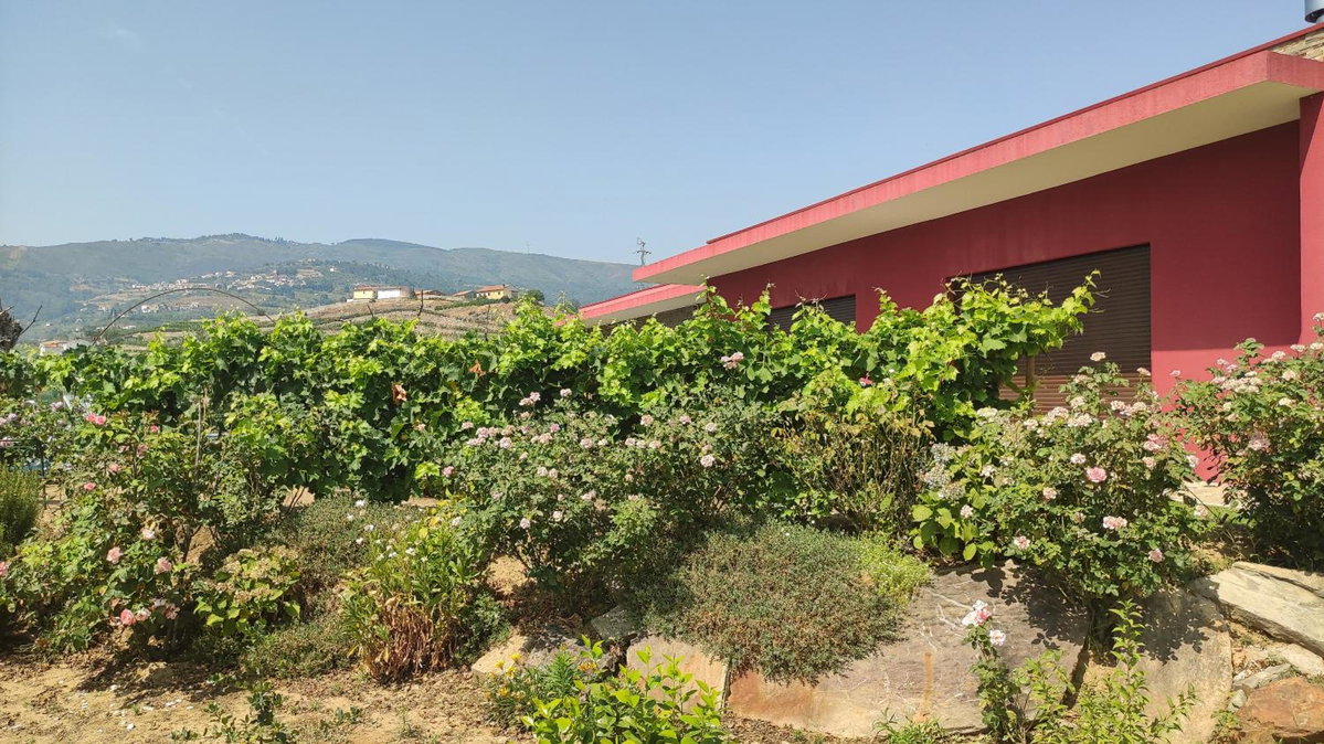 Quinta dos Padrinhos - Suites in the Heart of the Douro, Portugal