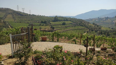 Quinta dos Padrinhos - Suites in the Heart of the Douro, Lamego, Portugal