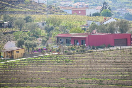 Quinta dos Padrinhos - Suites in the Heart of the Douro, Lamego, Portugal