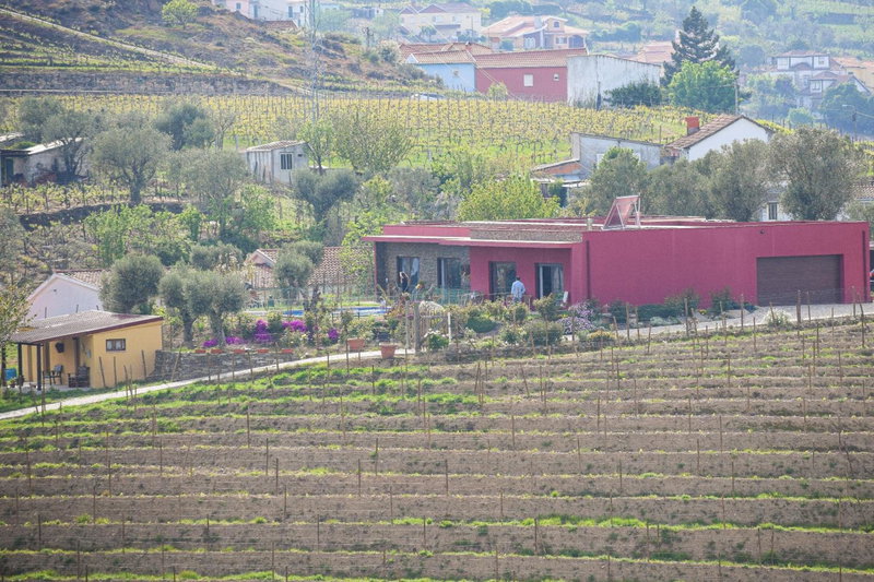 Quinta dos Padrinhos - Suites in the Heart of the Douro, Lamego, Portugal
