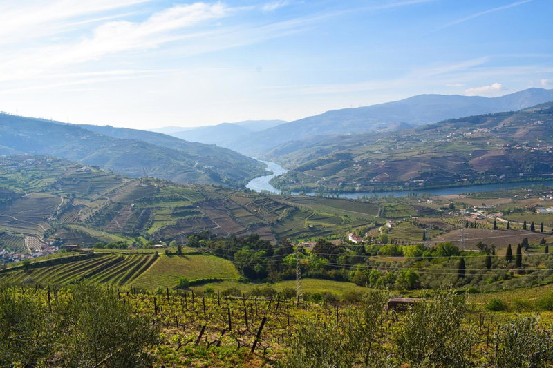 Quinta dos Padrinhos - Suites in the Heart of the Douro, Lamego, Portugal