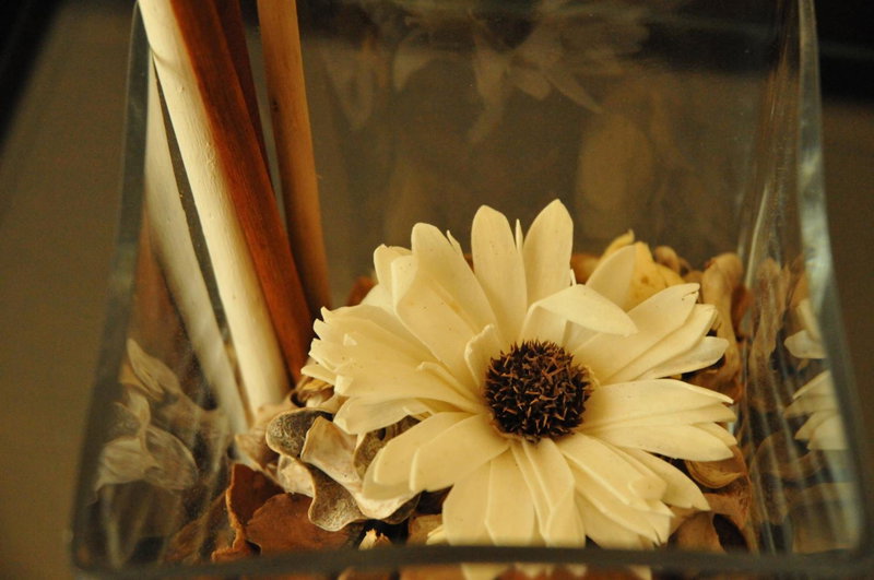 Ester Guest House, Chaves, Portugal