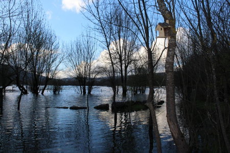 Retiro do Bosque Country House, Minde, Португалия