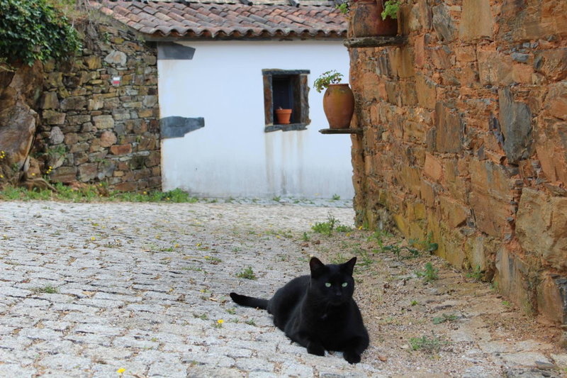 Vilar dos Condes, Madeirã, Portugal