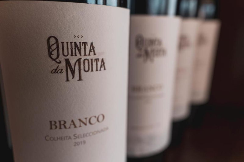 Quinta da Moita Agroturismo, Tabuaço, Portugal