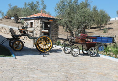 Quinta Ribeiro Tanquinhos, Tancos, Portugal