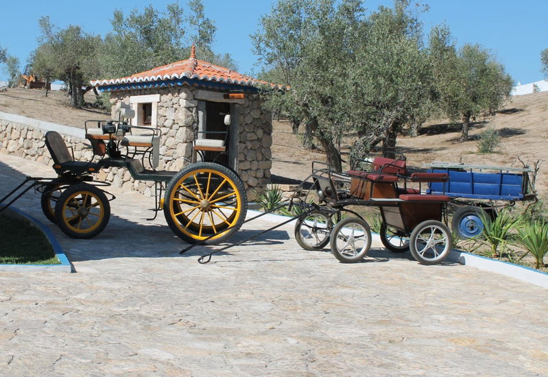 Quinta Ribeiro Tanquinhos, Tancos, Portugal