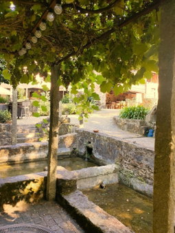 Quinta Padre Lobo, Santa Maria da Feira, Portugal
