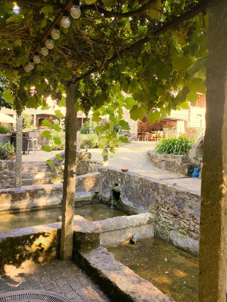 Quinta Padre Lobo, Santa Maria da Feira, Portugal