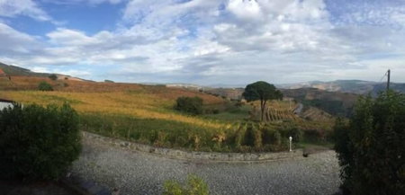 Quinta dos Espinheiros, Sabrosa, Португалия
