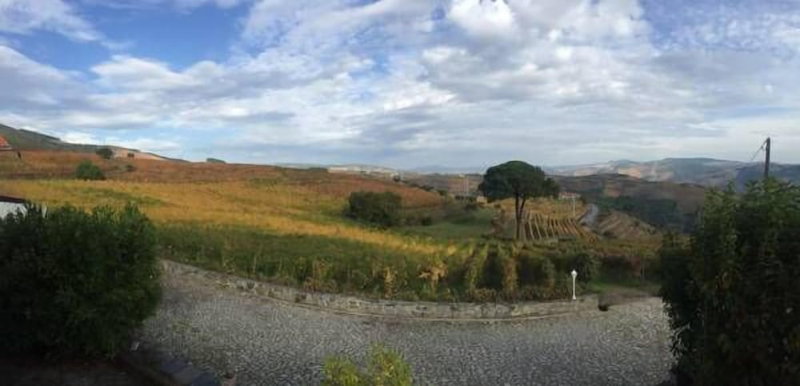 Quinta dos Espinheiros, Sabrosa, Португалия