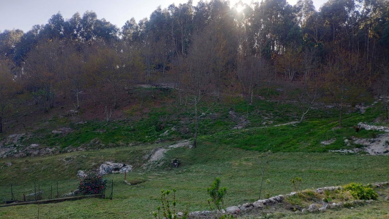 O Aconchego das Raízes, Baião, Portugal