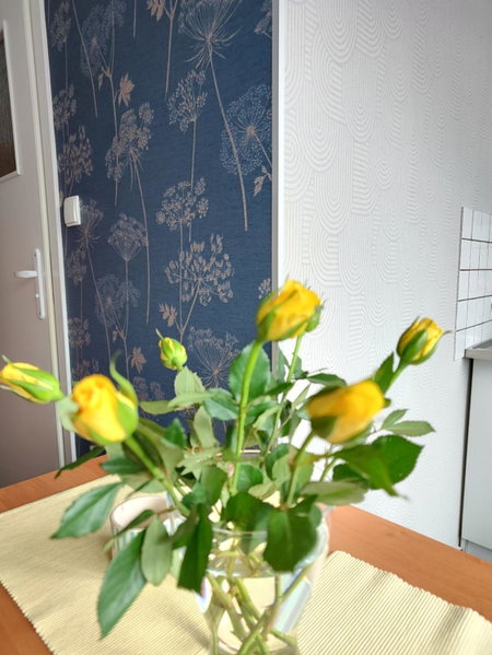 Apartamenty Hejszowina, Kudowa-Zdrój, Poland
