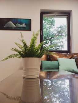 Apartamenty Dworcowa 45, Gliwice, Pologne