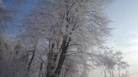 Staś -przy szkole nr 3 w Skawie, Skawa, Poland