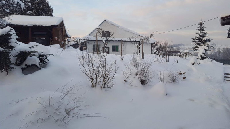 Staś -przy szkole nr 3 w Skawie, Skawa, Poland