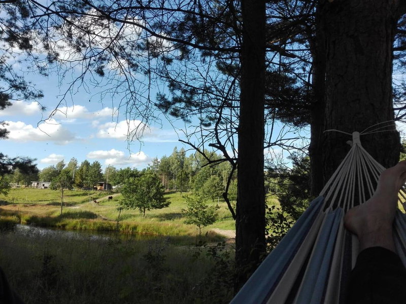 Koziula - Domki na Kaszubach, Przywidz, Poland