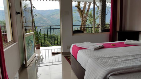 Green Tea View, Munnar, India