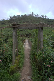 Grand Plaza, Munnar, Inde