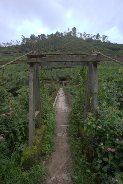 Grand Plaza, Munnar, Inde