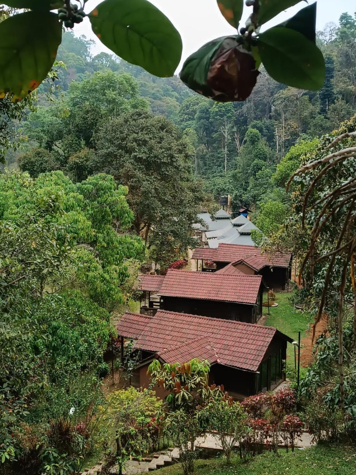 Hotel · Three Hills Resort & Spa, Coorg, Madikeri