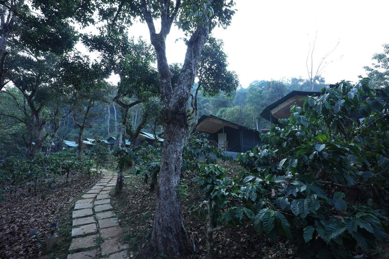 Three Hills Resort & Spa, Coorg, Madikeri, India