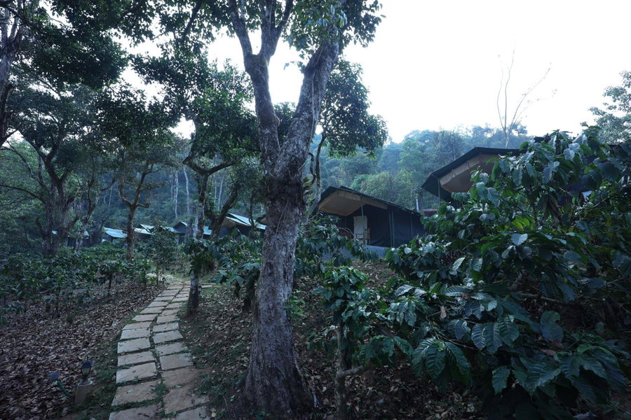 Three Hills Resort & Spa, Coorg, Madikeri, India