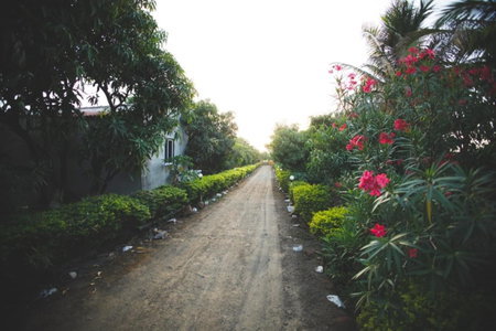 Gokul farm house, Sasan Gir, India
