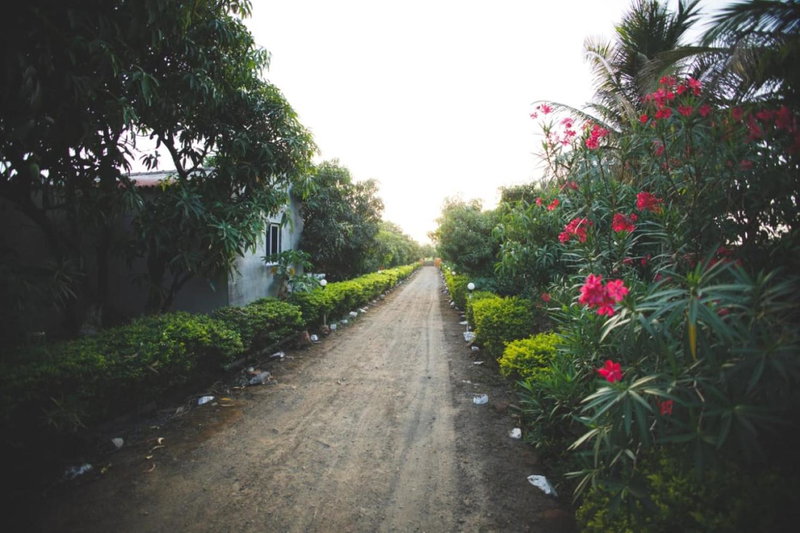 Gokul farm house, Sasan Gir, India
