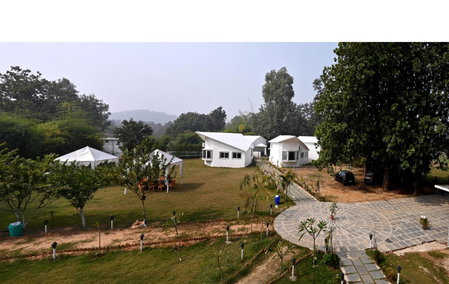 Olive, Tāla, India