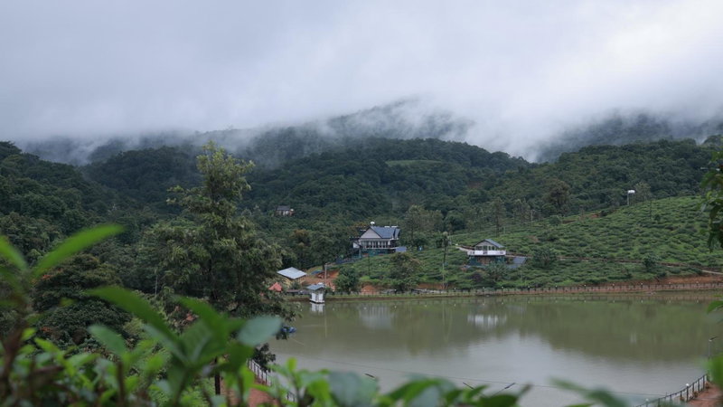 jungle view resort, Mananthavady, India