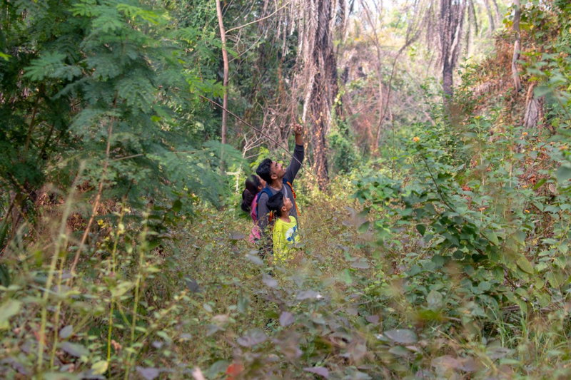Dera Baghdarrah Nature Retreat Udaipur, Udaipur, Inde