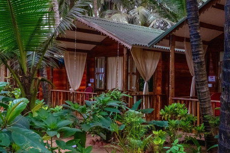 Jardim a Mar, Agonda, India