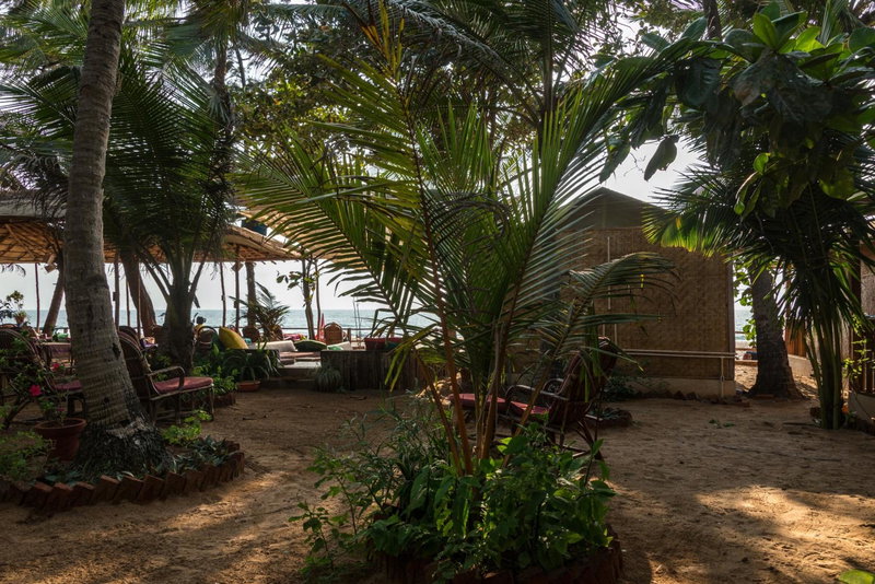 Jardim a Mar, Agonda, India