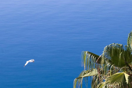 Grand Bleu Apartments & Villas, Ermioni, Greece